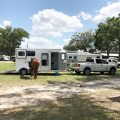 Horse With Trailer